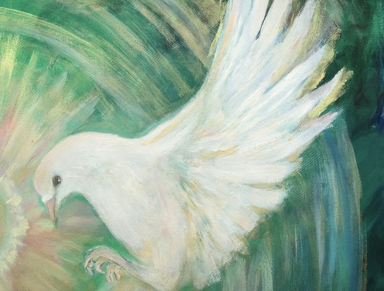 Doves - original birds-doves oil art painting on stretched canvas
