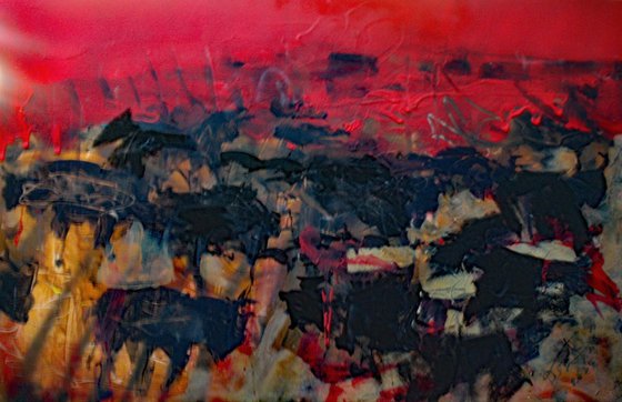 TAUREAUX SOLEIL COUCHANT