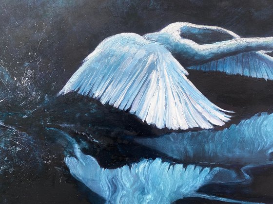 The Swan and the Flower Moon