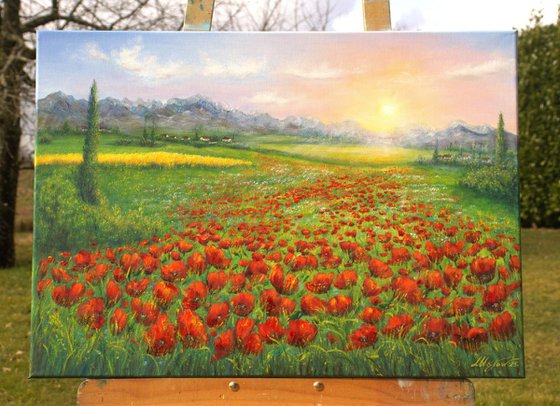 Serene poppy field