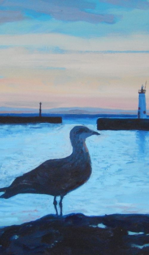 The Anster Seagull by Stephen Howard Harrison