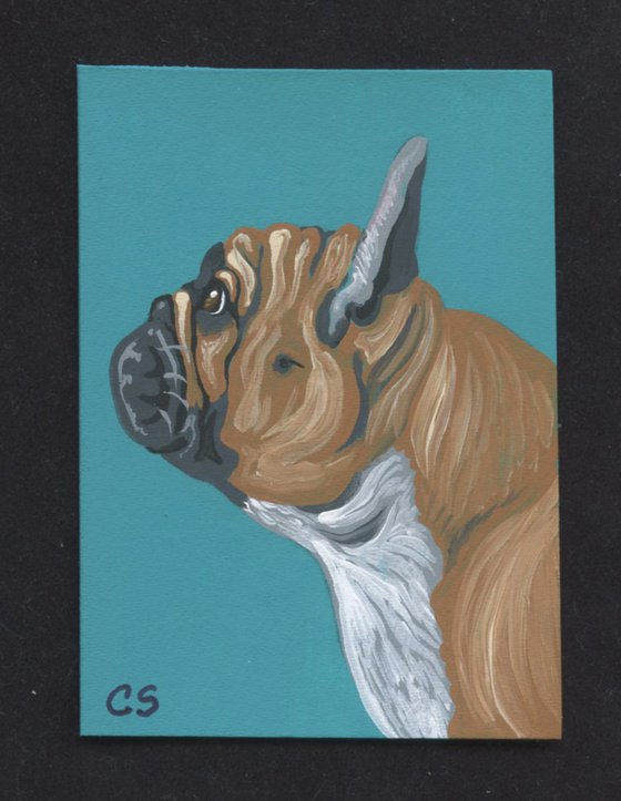 ACEO ATC Original Miniature Painting Fawn Tan  French Bulldog Pet Dog Art-Carla Smale