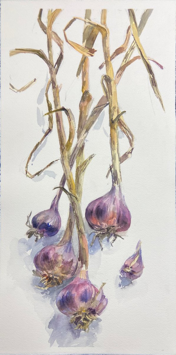 Garlic from my garden | little watercolor etude by Nataliia Nosyk