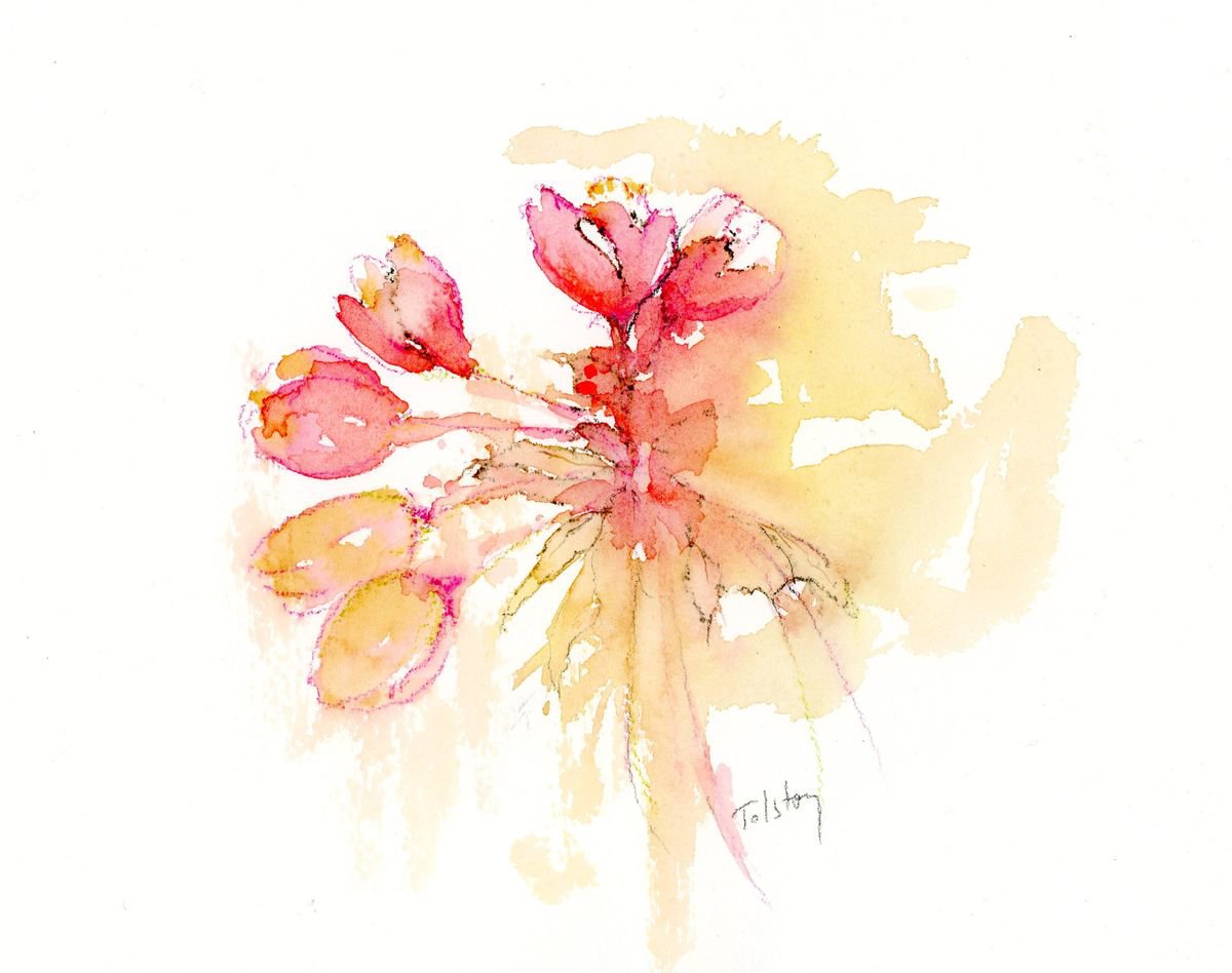 Impressionistic Botanical Watercolour By Alex Tolstoy, 12 X 9, Pink Tulips, Original Artwork