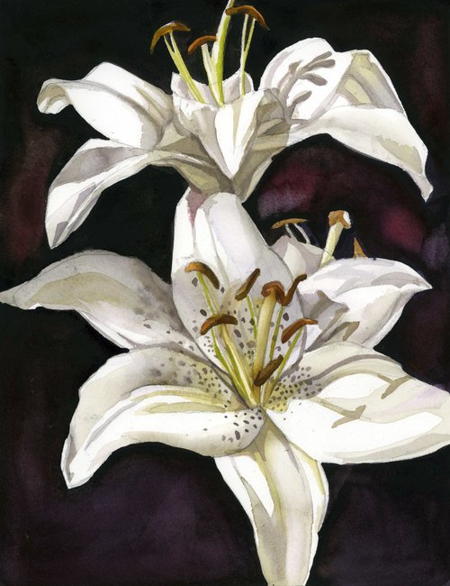 white lilies watercolor floral by Alfred  Ng