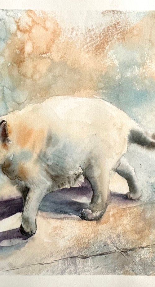 Cat and a Bug by Sophie Rodionov