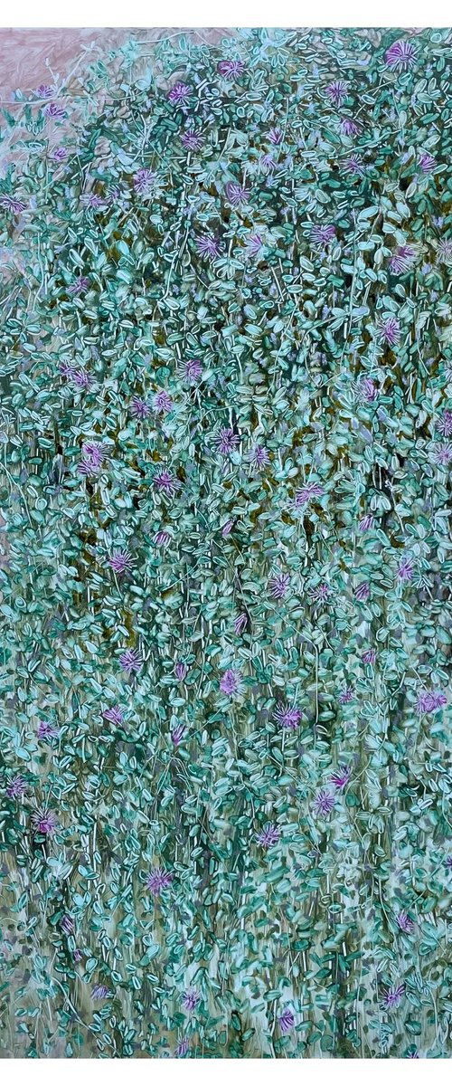 DROSANTHEMUM FLORIBUNDUM by Maija Nochevnaya