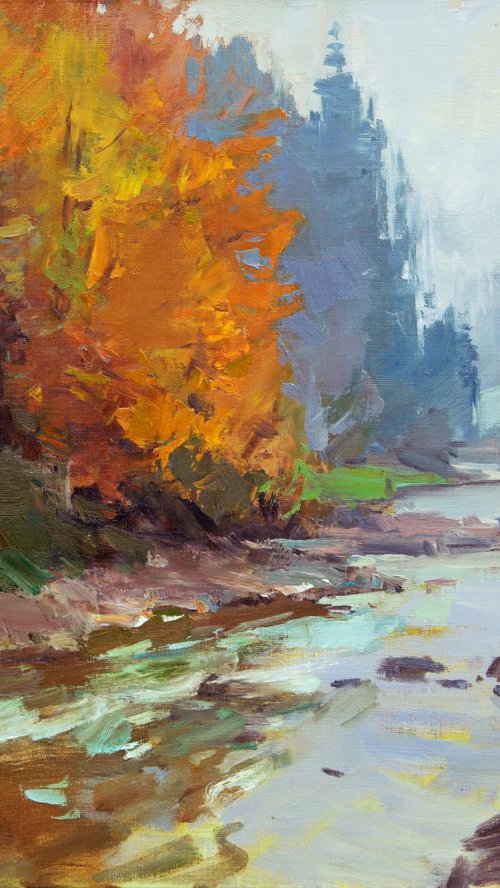 Autumn in the Carpathians by Aleksandr  Kryushyn