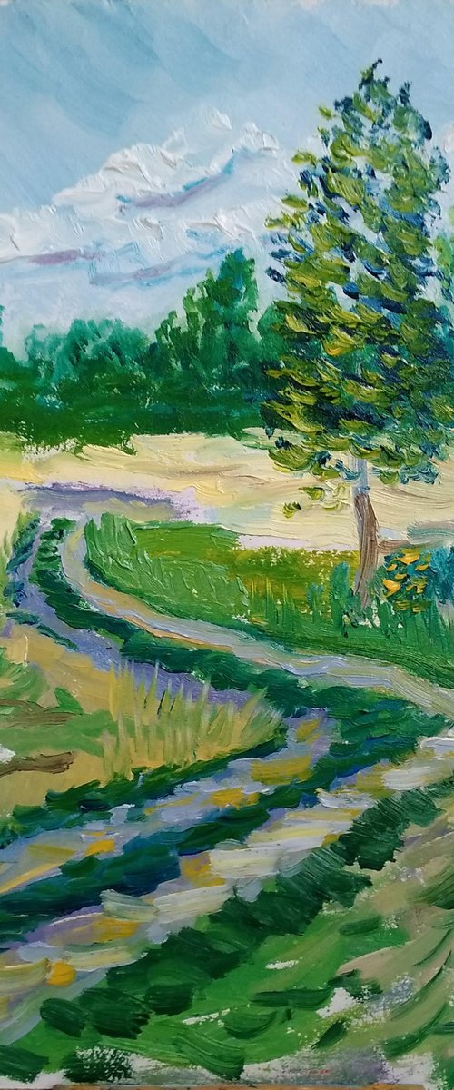 Country road. Pleinair painting by Dmitry Fedorov