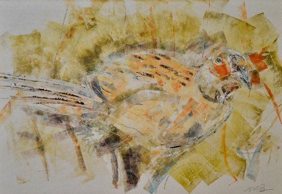 Pheasant Hen