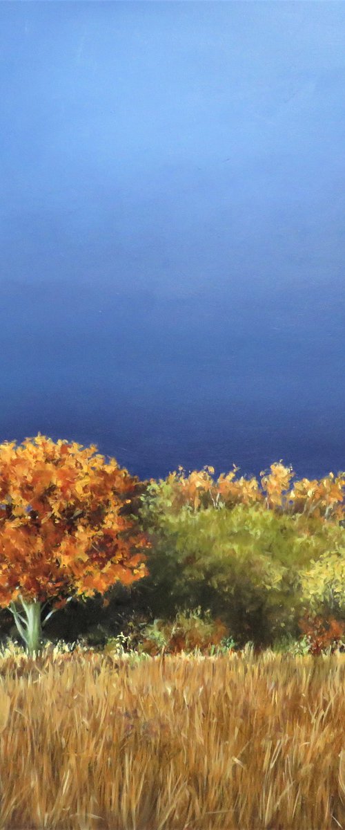 November flourish by Kerry Lisa Davies