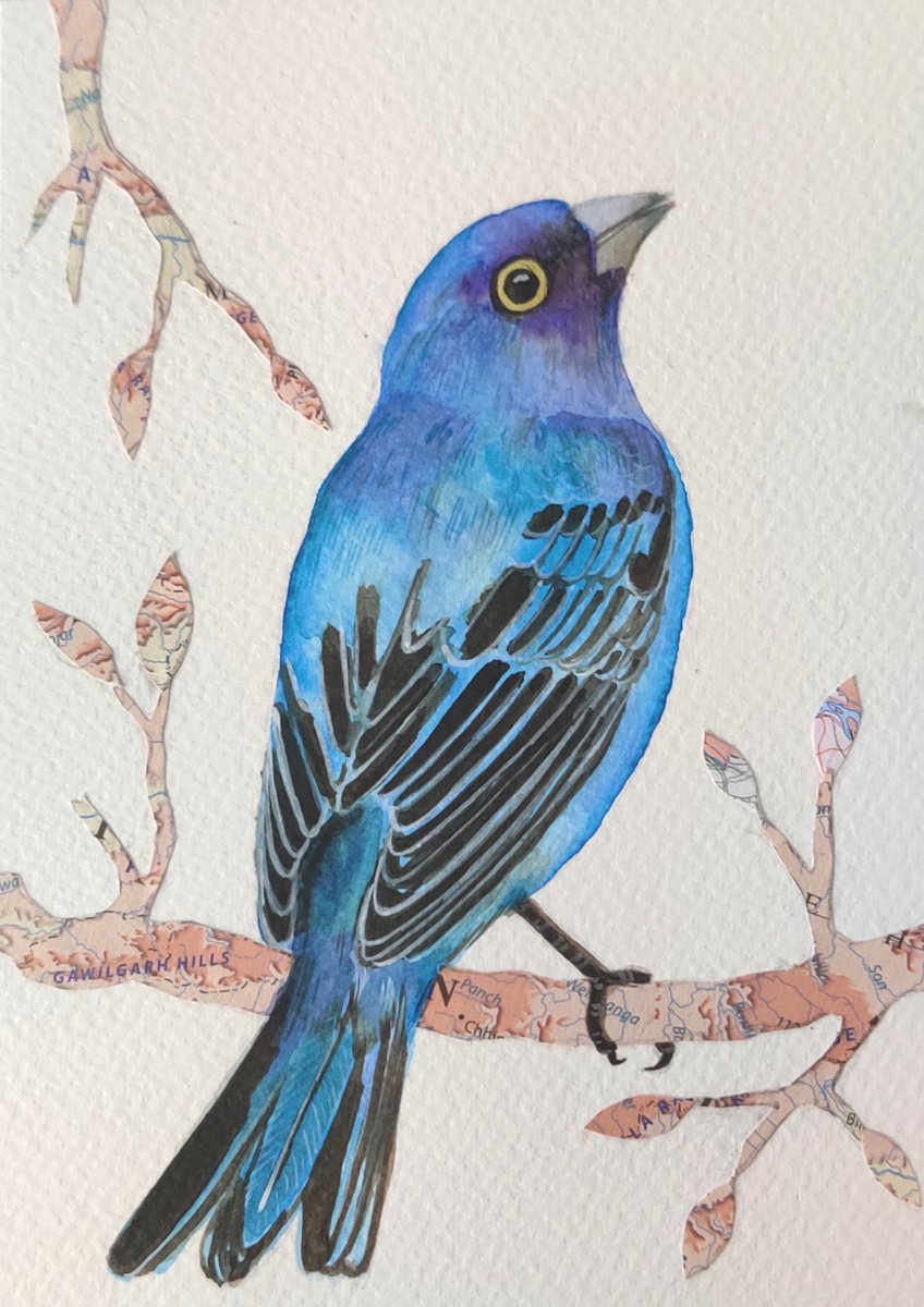 Indigo Bunting Mixedmedia painting by Ketki Fadnis Artfinder