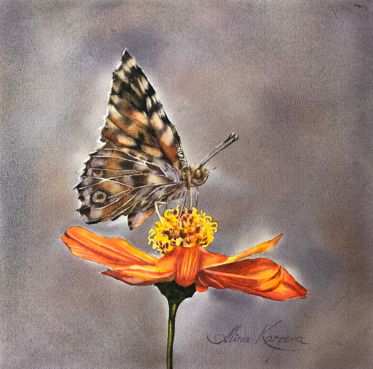 Butterfly on flower by Alina Karpova