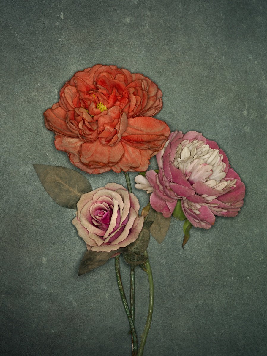 Les Fleurs. by Dmitry Ersler