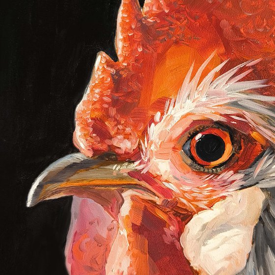 Rooster in profile