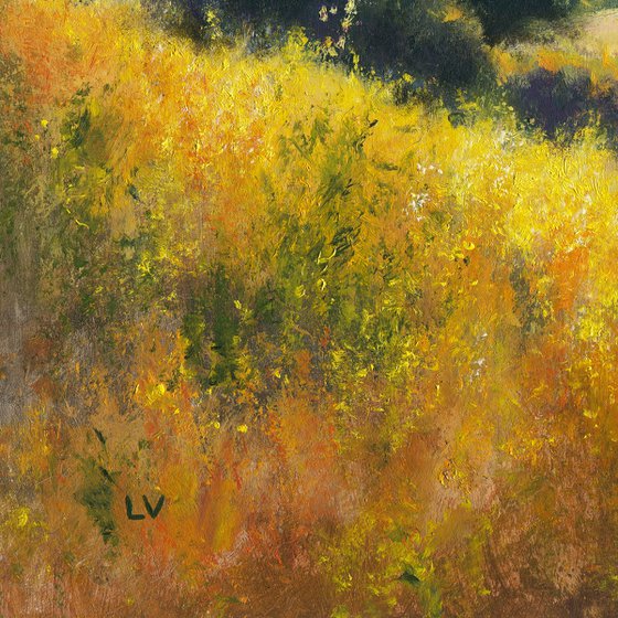 sunny hills with yellow flowers