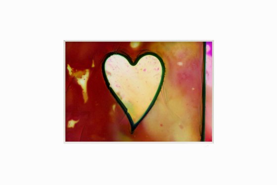 Heart Collection 12