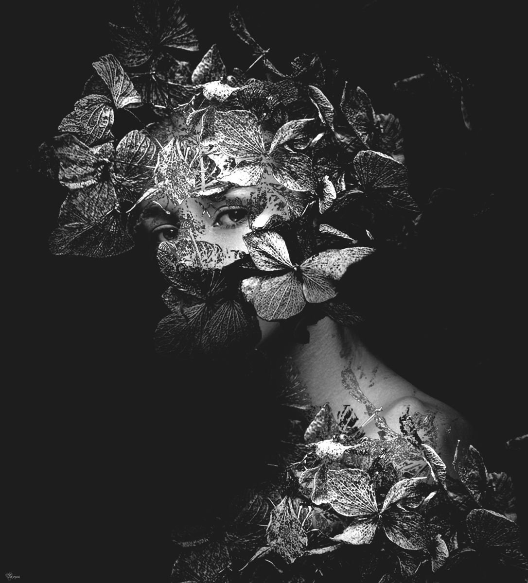 Illustrative Portrait Photograph By Bojan Jevtic, 39 X 43, Shy, Original Artwork