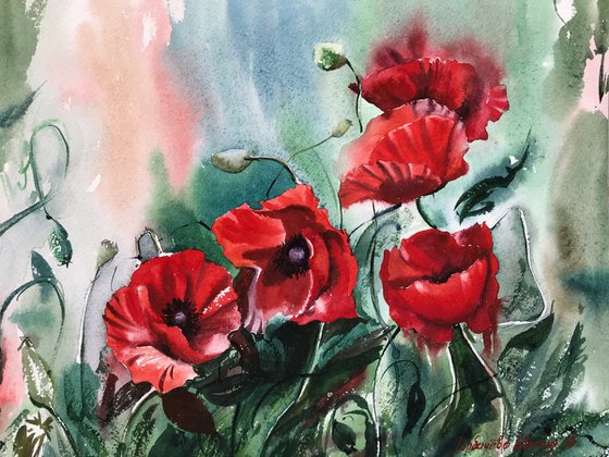 Growing Poppies