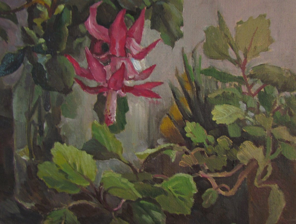 Christmas Cactus by Viktoriia Pidvarchan