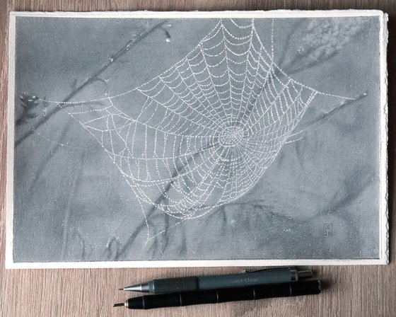 Spiderweb: Lace Doily