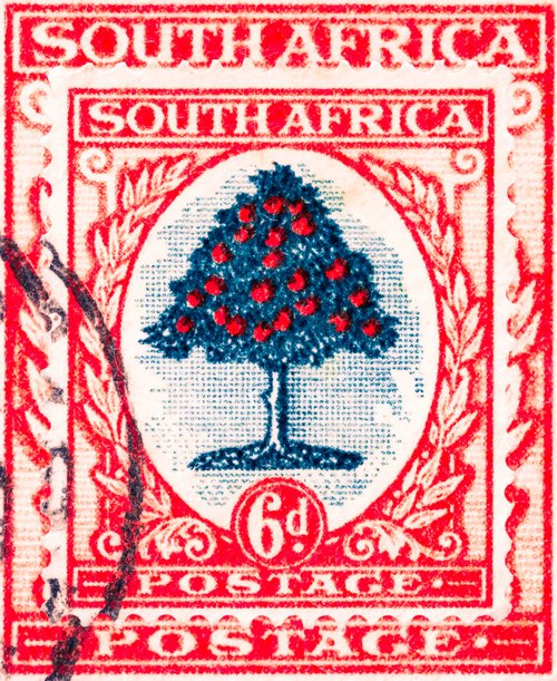 Orange Tree 1938-South Africa Stamp Collection Art by Deborah Pendell