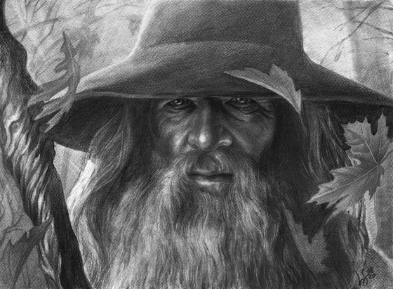 Wizard Gandalf " The Lord of the Rings".