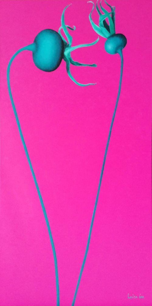 Fuchsiablau by Louisa Corr