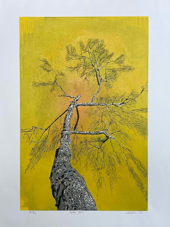 Birch Tree Linocut Print