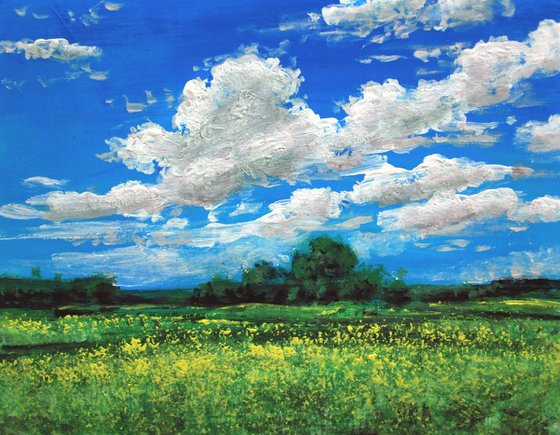 Meadows and clouds