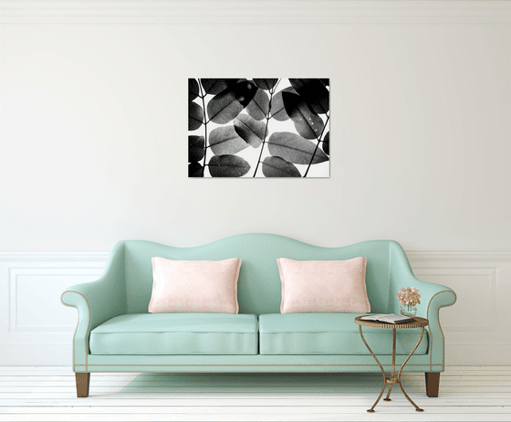 Experiments with Leaves II | Limited Edition Fine Art Print 1 of 10 | 90 x 60 cm