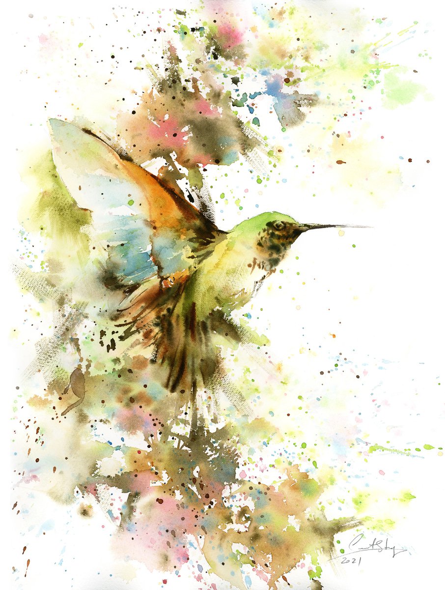 Hummingbird by Sophie Rodionov