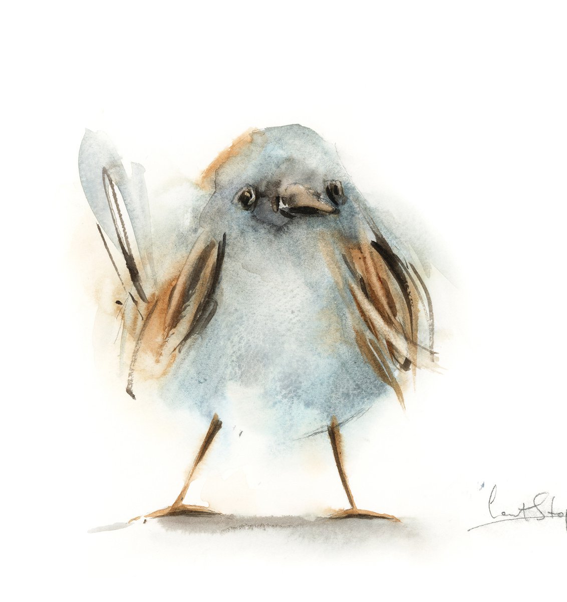 Little bird by Sophie Rodionov