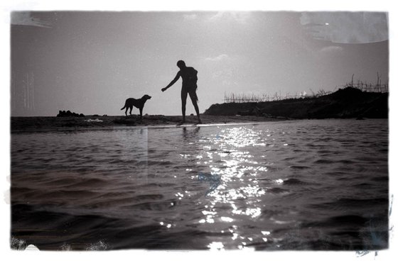 Man and dog silhouette