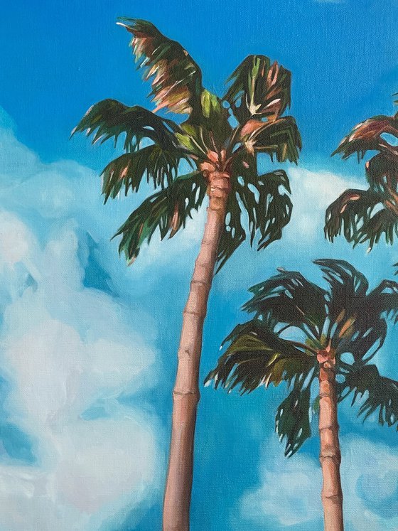 Palm trees and sky