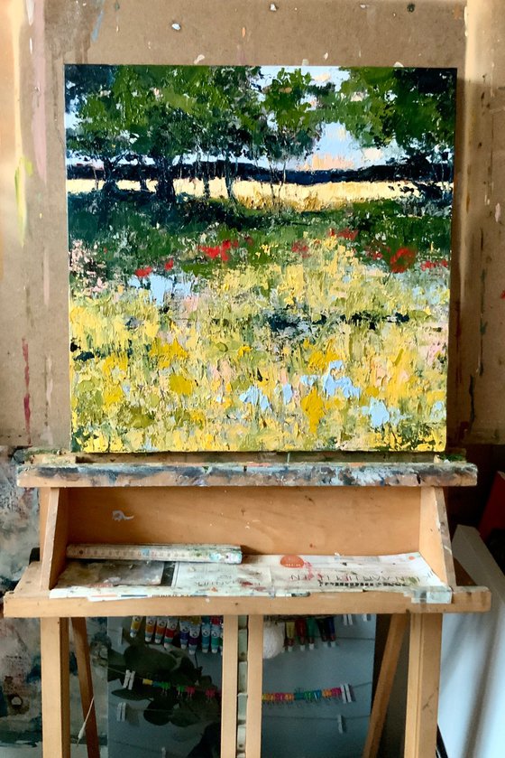 Summer Meadow in the Cotswolds