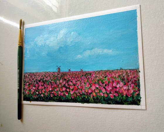 Miniature Dutch Tulip Farm