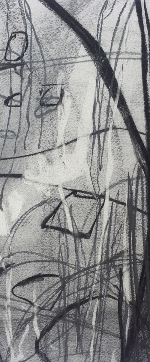 Branch # 8 by John Davison