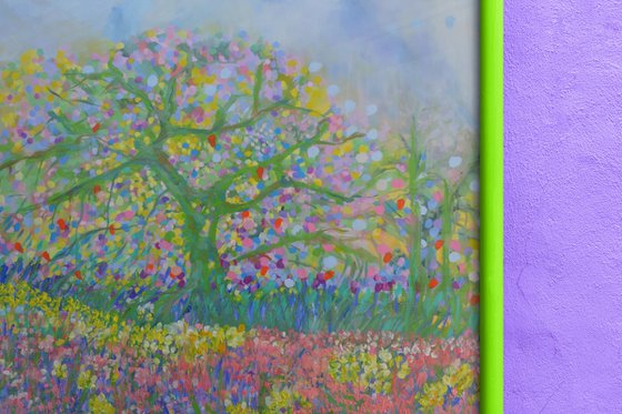 Cherry Blossom Trees 2026