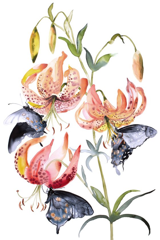 Lilies and Swallowtails