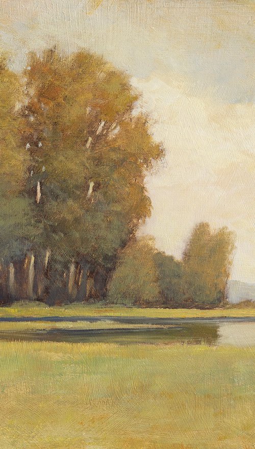 River Trees 251106 by Don Bishop