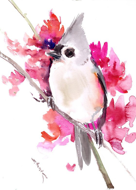 Titmouse Bird