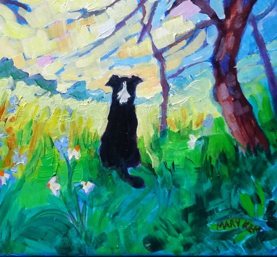 Landscape with Border Collie
