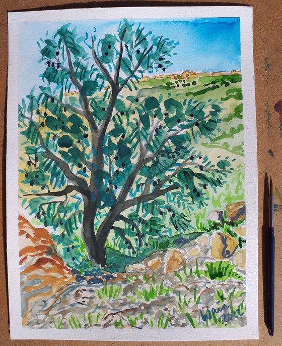 Black olive tree in Andalucia