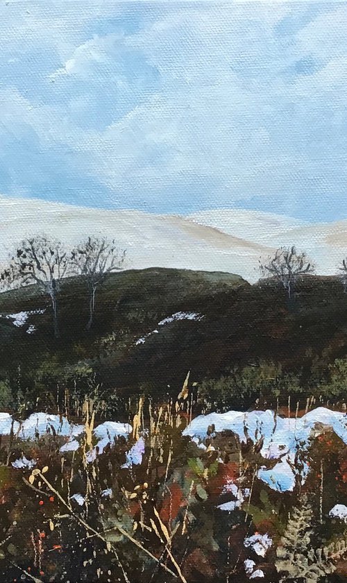 Dartmoor View by Valerie Jobes