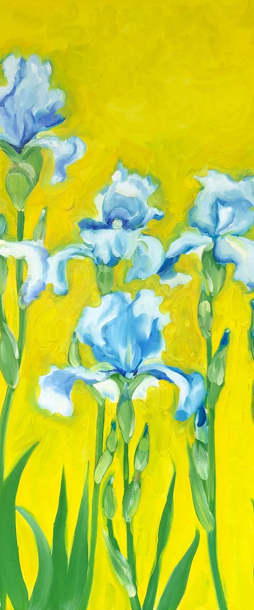 Six Blue Iris by Bill Stone
