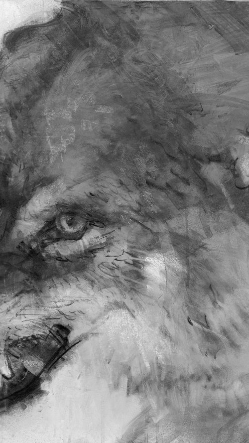 "Wolf" by Eugene Segal