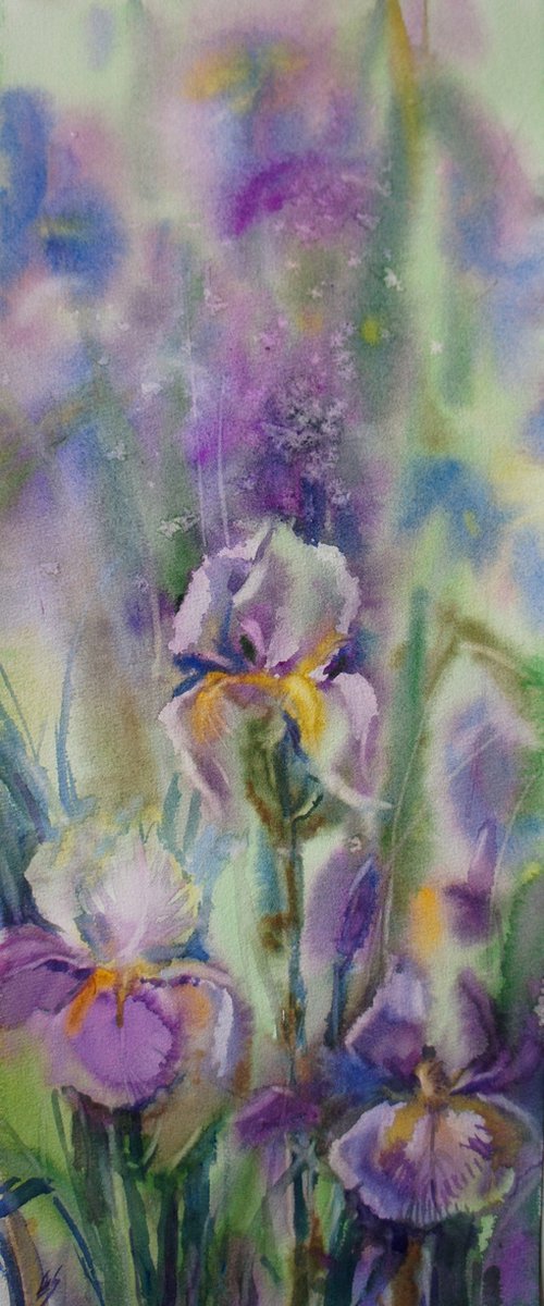 Iris dreams by Elena Sanina