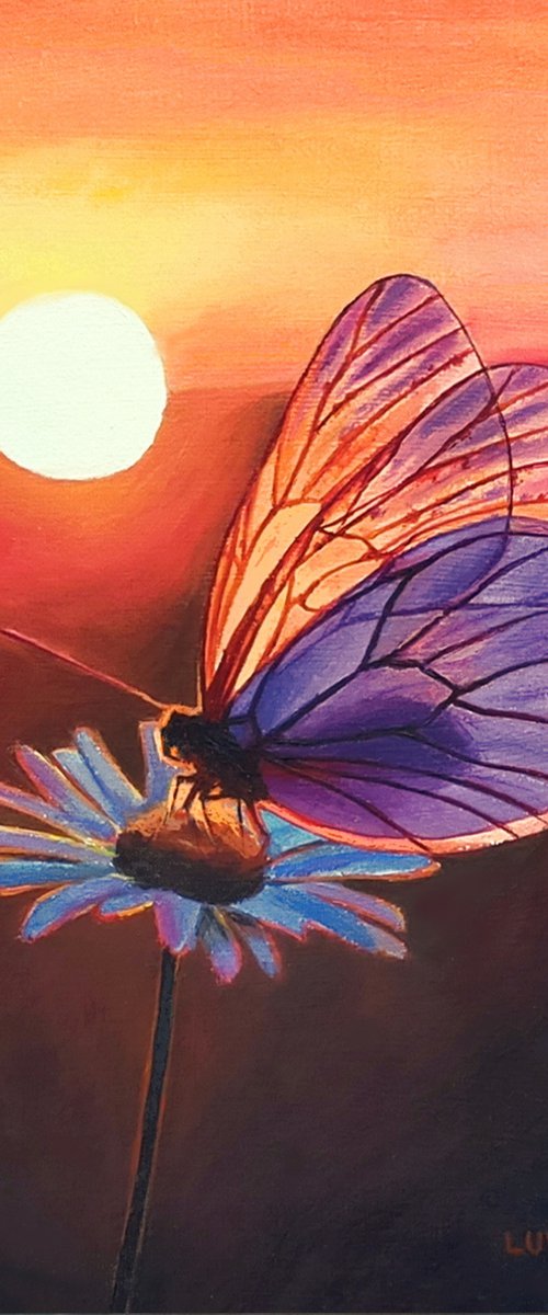 The last caress of the sun by Lucia Verdejo
