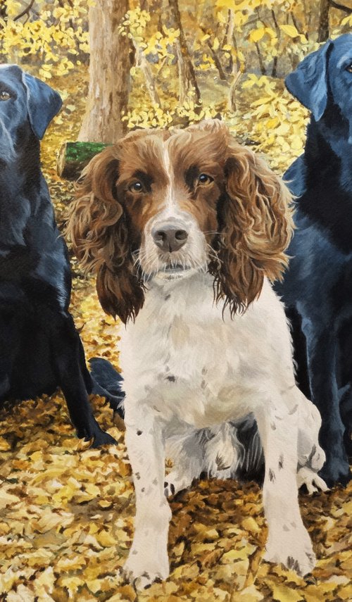 Jazz,Olly and Phoebe by Julian Wheat
